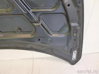 F5100CA0MM Nissan Капот Nissan Murano Z52 Арт E22508140, вид 6