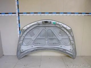 F5100CA0MM Nissan Капот Nissan Murano Z52 Арт E22920905, вид 5