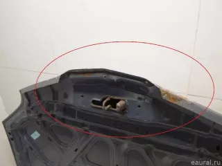 65100AV630 Nissan Капот Nissan Primera 12 Арт E90306609, вид 6