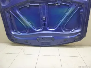 7751475999 Renault Капот Renault Laguna 2 Арт E95340679, вид 10