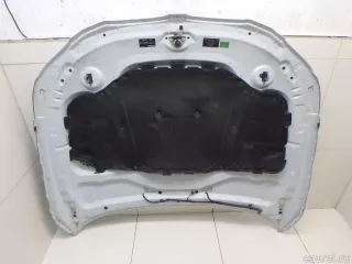 41617111385 BMW Капот BMW 5 E60/E61 Арт E95546415, вид 6