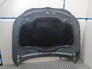 41617111385 BMW Капот BMW 5 E60/E61 Арт E23357863, вид 18