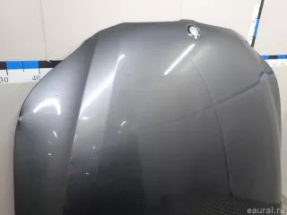 41617111385 BMW Капот BMW 5 E60/E61 Арт E23357863, вид 7
