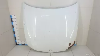 41617153940 BMW Капот BMW 3 E90/E91/E92/E93 Арт E70644041, вид 1