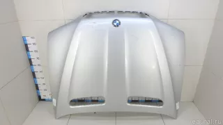 41617121102 BMW Капот BMW X5 E53 Арт E70644147, вид 1