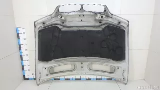 41617121102 BMW Капот BMW X5 E53 Арт E70644147, вид 12