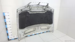 41617121102 BMW Капот BMW X5 E53 Арт E70644147, вид 13