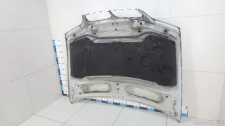 41617121102 BMW Капот BMW X5 E53 Арт E70644147, вид 14