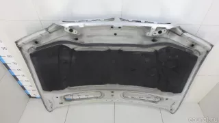 41617121102 BMW Капот BMW X5 E53 Арт E70644147, вид 15