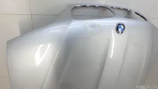 41617121102 BMW Капот BMW X5 E53 Арт E70644147, вид 8
