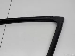 51327020578 BMW Уплотнитель стекла двери BMW X5 E53 Арт E31161701, вид 2