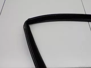 51327020578 BMW Уплотнитель стекла двери BMW X5 E53 Арт E31161701, вид 3