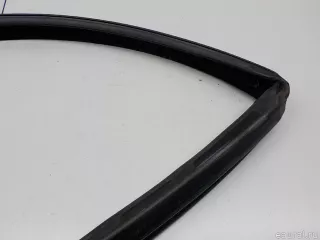 51327020578 BMW Уплотнитель стекла двери BMW X5 E53 Арт E31161701, вид 7