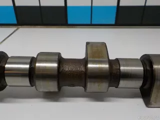 050109101A VAG Распредвал Seat Toledo 1 Арт E31373281, вид 4