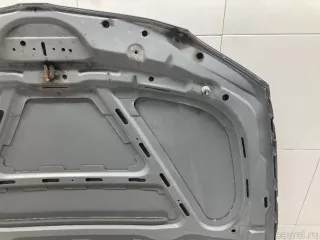 41627162102 BMW Капот BMW X1 E84 Арт E31527715, вид 17