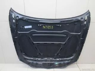 41627162102 BMW Капот BMW X1 E84 Арт E80569853, вид 9