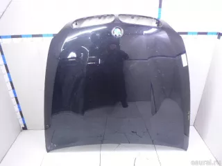 41617486754 BMW Капот BMW X6 E71/E72 Арт E22846586, вид 1