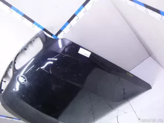 41617486754 BMW Капот BMW X6 E71/E72 Арт E22846586, вид 2