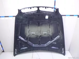 41617486754 BMW Капот BMW X6 E71/E72 Арт E22846586, вид 6