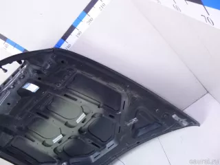 41617486754 BMW Капот BMW X6 E71/E72 Арт E22846586, вид 7