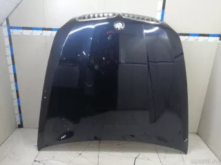 41617486754 BMW Капот BMW X6 E71/E72 Арт E23258788, вид 1