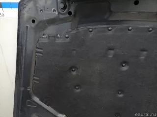 41617486754 BMW Капот BMW X6 E71/E72 Арт E23258788, вид 18