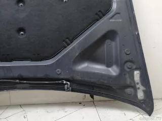 41617486754 BMW Капот BMW X6 E71/E72 Арт E23258788, вид 20
