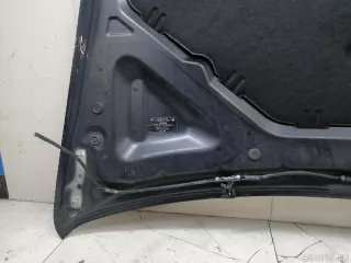 41617486754 BMW Капот BMW X6 E71/E72 Арт E23258788, вид 21