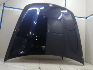 41617486754 BMW Капот BMW X6 E71/E72 Арт E23258788, вид 3