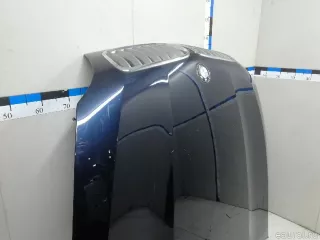 41617486754 BMW Капот BMW X6 E71/E72 Арт E23258788, вид 4
