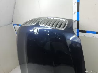 41617486754 BMW Капот BMW X6 E71/E72 Арт E23258788, вид 7