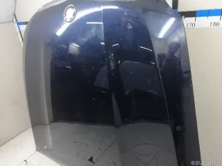 41617486754 BMW Капот BMW X6 E71/E72 Арт E23258788, вид 8