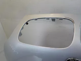 41617486754 BMW Капот BMW X5 E70 Арт E40903206, вид 7