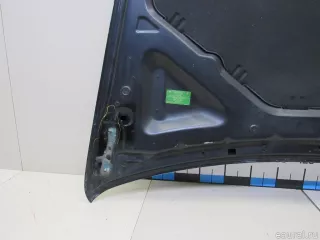 41617486754 BMW Капот BMW X6 E71/E72 Арт E80865604, вид 16