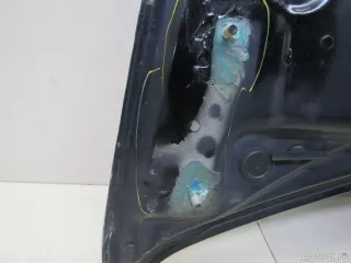 41617486754 BMW Капот BMW X6 E71/E72 Арт E80865604, вид 20