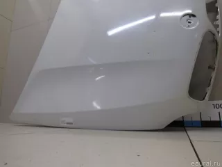 41617486754 BMW Капот BMW X6 E71/E72 Арт E80865604, вид 3