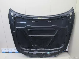 41627162102 BMW Капот BMW X1 E84 Арт E80889394, вид 12