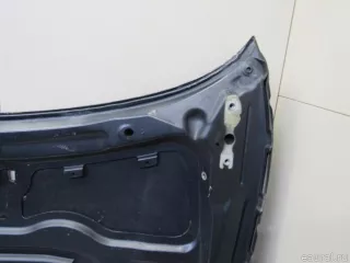 41627162102 BMW Капот BMW X1 E84 Арт E80889394, вид 13