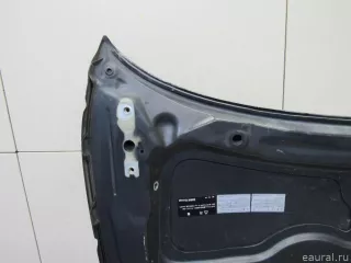 41627162102 BMW Капот BMW X1 E84 Арт E80889394, вид 14