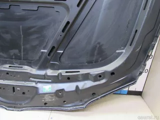 41627162102 BMW Капот BMW X1 E84 Арт E80889394, вид 16