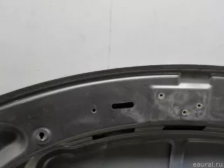 3C8823031B VAG Капот Volkswagen Passat CC Арт E51825262, вид 12