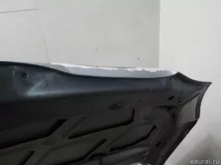 1160013 GM Капот Opel Insignia 1 Арт E52133836, вид 16