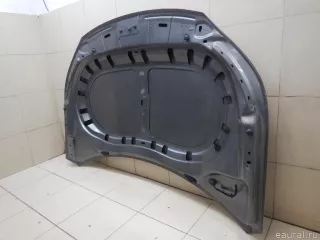5N0823031D VAG Капот Volkswagen Tiguan 1 Арт E95388252, вид 12