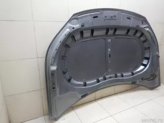5N0823031D VAG Капот Volkswagen Tiguan 1 Арт E95388252, вид 14