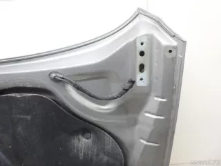 3C8823031B VAG Капот Volkswagen Passat CC Арт E95608421, вид 17