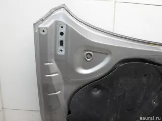 3C8823031B VAG Капот Volkswagen Passat CC Арт E95608421, вид 18