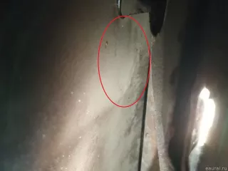 5J0823031A VAG Капот Skoda Roomster 1 restailing Арт E90339548, вид 4