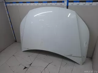 5N0823031D VAG Капот Volkswagen Tiguan 1 Арт E23291019, вид 3