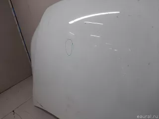 5N0823031D VAG Капот Volkswagen Tiguan 1 Арт E23291019, вид 6