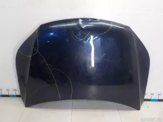 5N0823031D VAG Капот Volkswagen Tiguan 1 Арт E40890411, вид 1